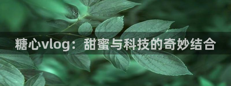 糖心vlog未满十八下：糖心vlog：甜蜜与科技的奇妙结合