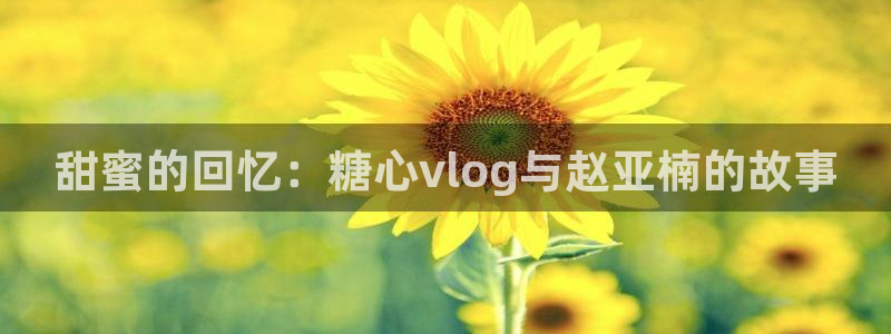 糖心vlog cc：甜蜜的回忆：糖心vlog与赵亚楠的故事
