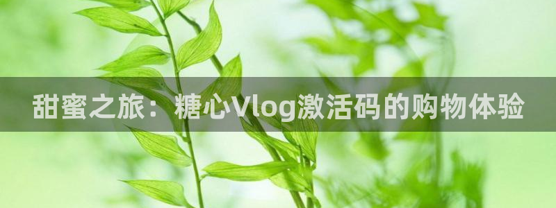 糖心Vlog 中秋礼物：甜蜜之旅：糖心Vlog激活码的购物体验