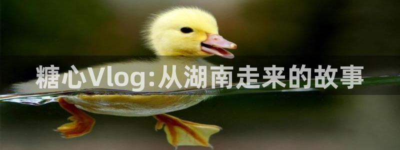 糖心vlog无码视频：糖心Vlog:从湖南走来的故事