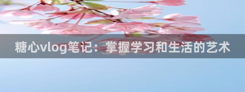 糖心vlog冉冉图片：糖心vlog笔记：掌握学习和生活的艺术