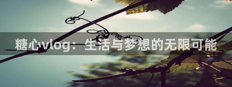 糖心vlog破解版网盘：糖心vlog：生活与梦想的无限可能