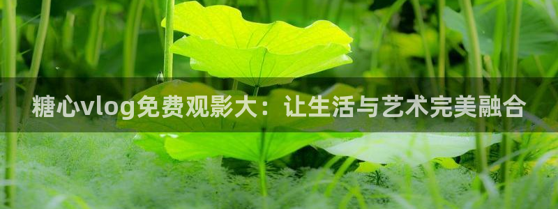 糖心vlog香港：糖心vlog免费观影大