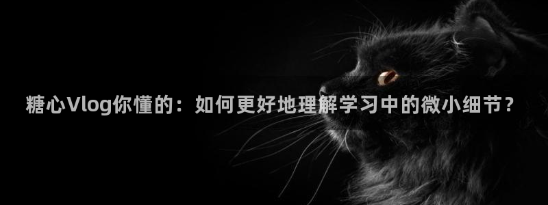 糖心vlog知名艺人：糖心Vlog你懂的：如何更好地理解学习中的微小细节？
