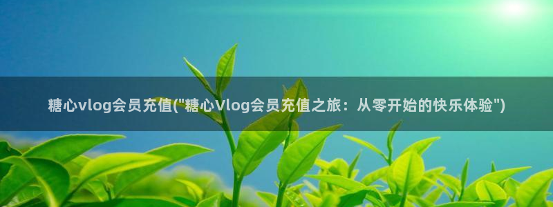 糖心vlog不惊醒在线