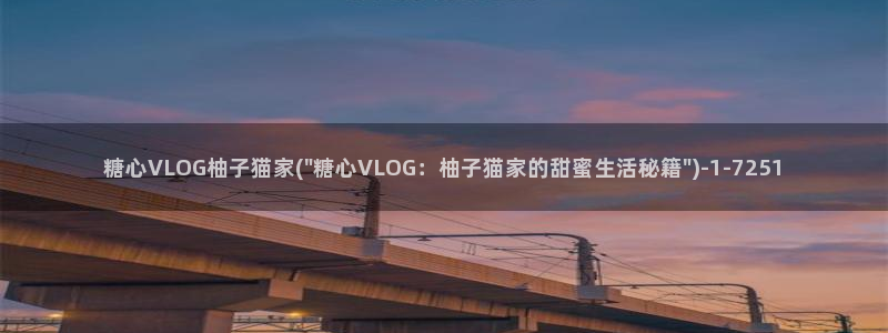 金善雅vlog 糖心