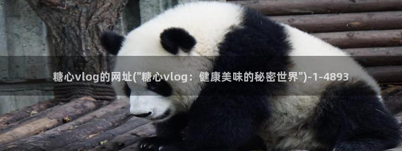 现在是糖心vlog时间