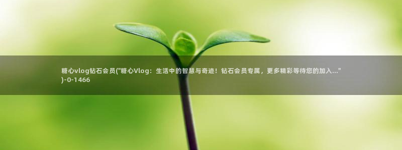 糖心vlog没有线路