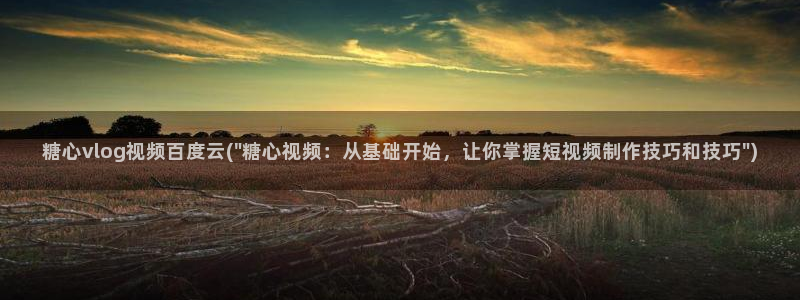 糖心vlog黄斑：糖心vlog视频百度云