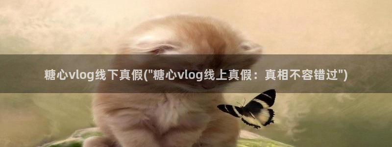 糖心vlog没了吗