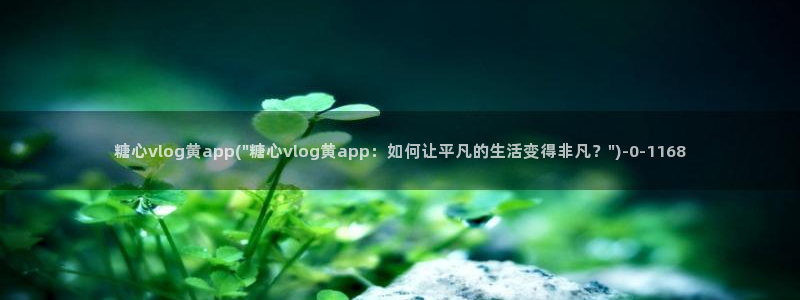 糖心vlog管我网